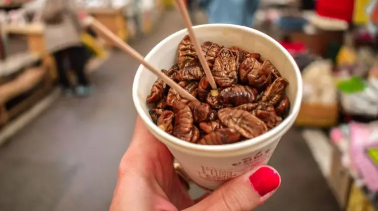 Insectele, o sursă de proteină sănătoasă. De ce ne este atât de greu să le mâncăm?