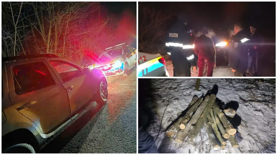 Tăieri ilegale în pădurea din Nihoreni: un bărbat, prins în flagrant de inspectorii de mediu