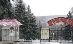 Grădina Zoologică din Chișinău va activa astăzi, 31 august
