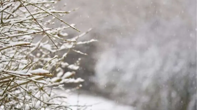 Prognoza meteo pentru 22 ianuarie. Vreme rece în toată țara, cu minime de până la -15 grade