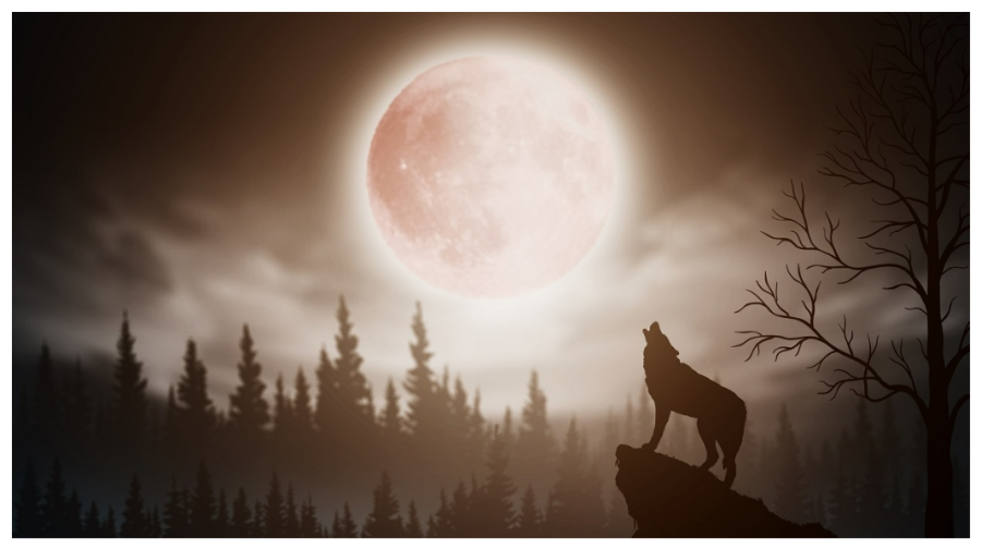 Luna Lupului 2026: superlună spectaculoasă va lumina cerul iernii. Când poate fi văzută