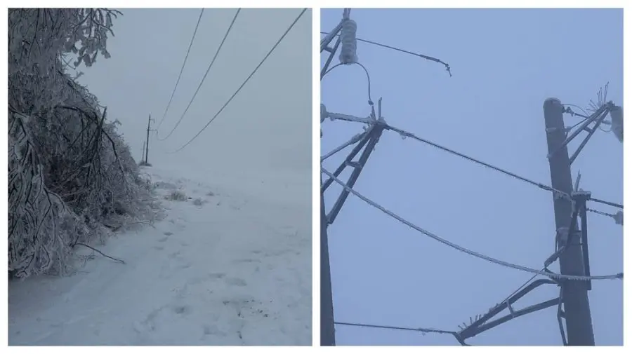 Moldelectrica intervine de urgență la Șoldănești și Florești: Avarii pe liniile electrice din cauza chiciurii