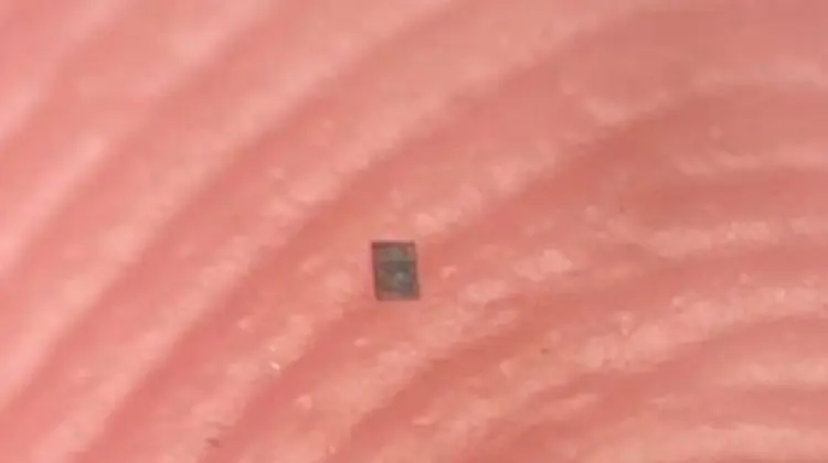 A fost creat cel mai mic robot programabil din lume! Este cât un grăunte de sare și are o grosime de 50 de micrometri