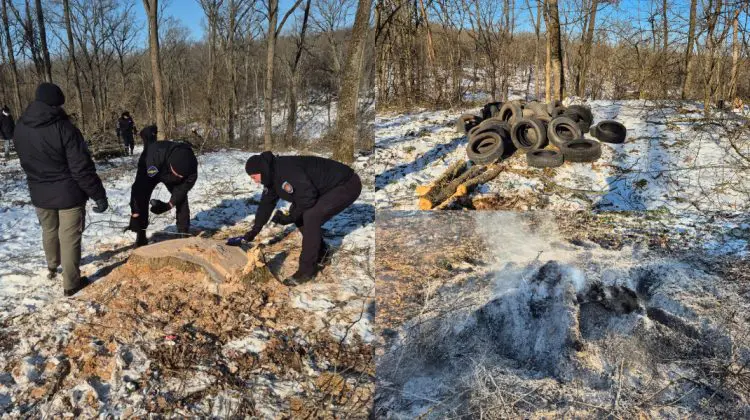 Caz grav la Ocolul Silvic Ghidighici. Peste 1.000 de arbori tăiați ilegal, iar urmele distruse prin incendiere