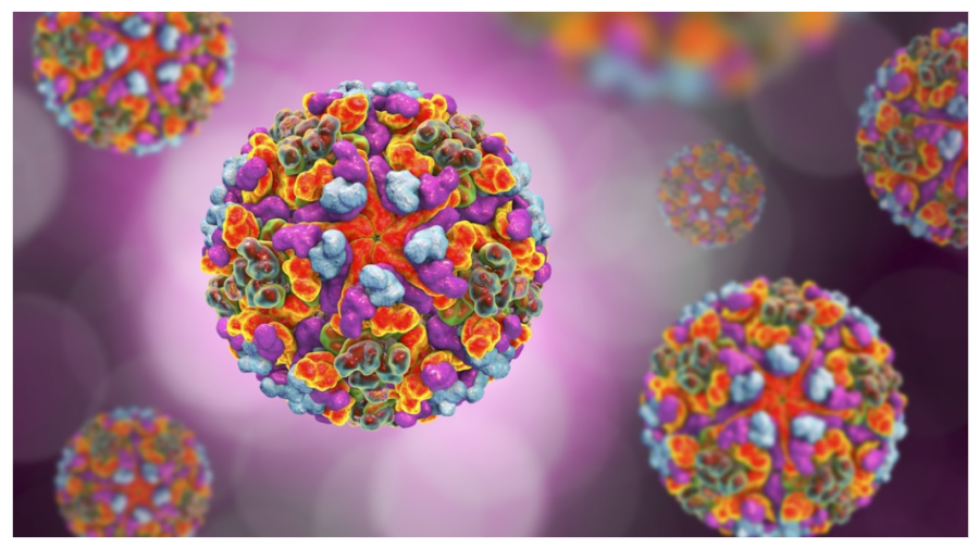 Infecția din Africa ajunge în România: primul caz de virus Chikungunya alertat: care sunt simptomele