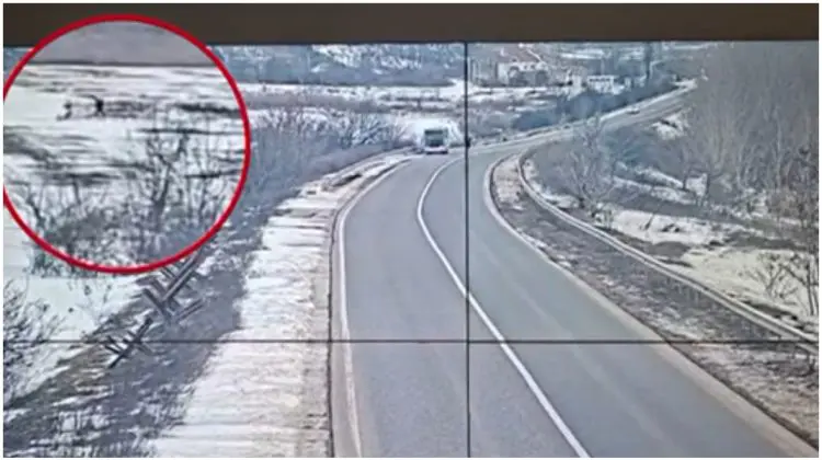 VIDEO Tentativă de trecere ilegală dejucată la Tudora. Un cetățean ucrainean a fost reținut la frontieră
