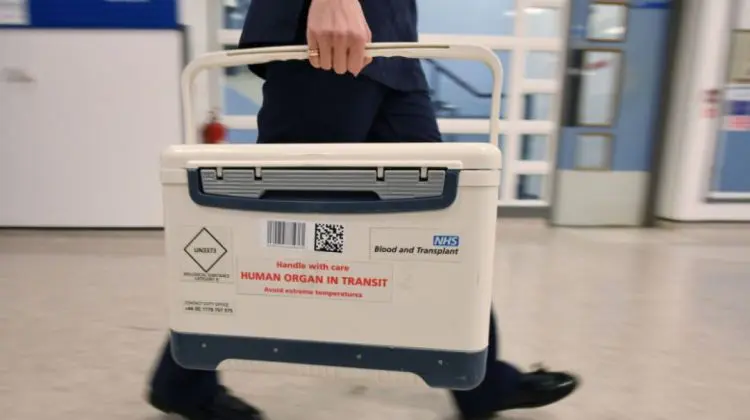 Cazul care a revoltat Italia. Un băiețel de 2 ani a murit în urma unui transplant cu o inimă „arsă de gheață”
