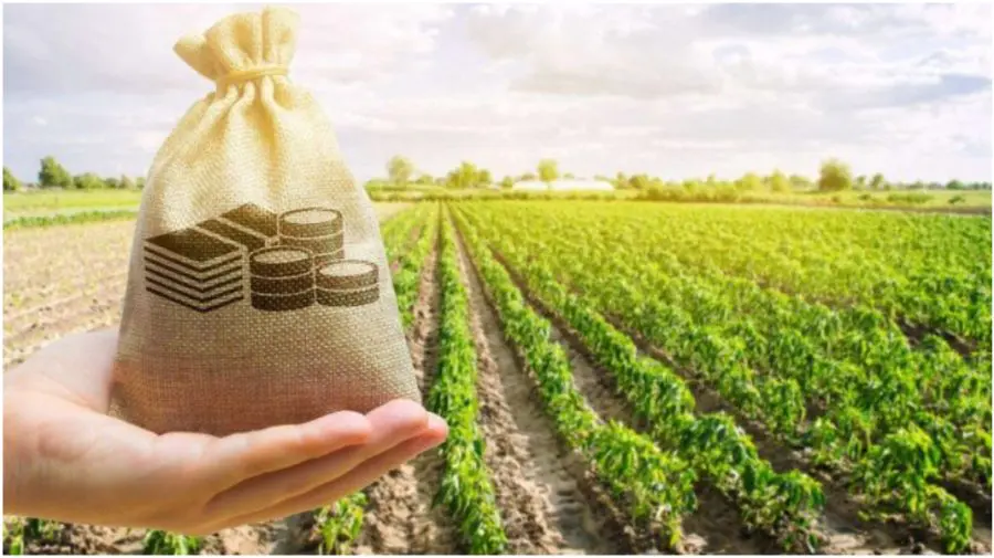 Granturi de până la 1 milion de dolari pentru fermieri. Cererile de finanțare pot fi depuse din 2 martie