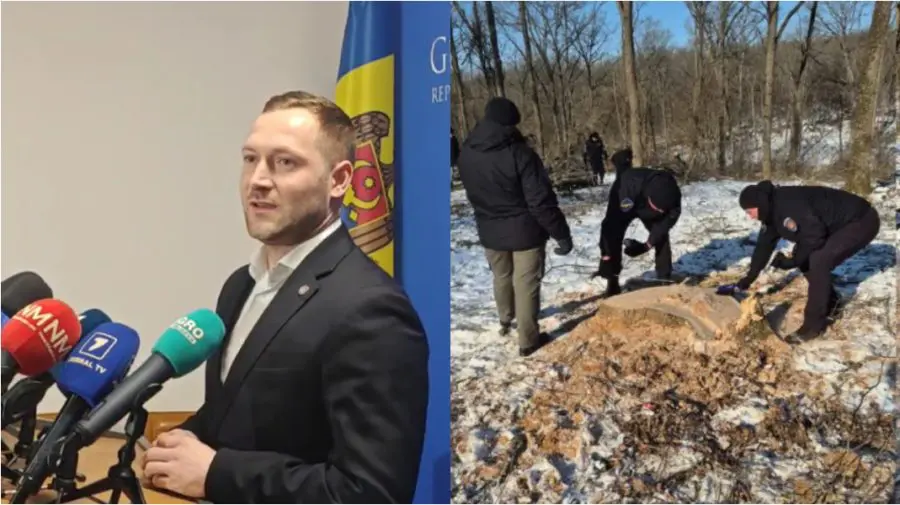 Urmează demisii? Cazul celor 1.007 arbori tăiați ilegal la Ghidighici va fi înaintat Procuraturii Generale