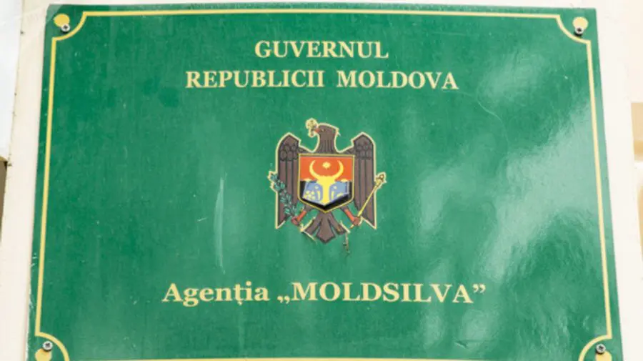„Nu dispunem de informații”. Reacția „Moldsilva” după perchezițiile CNA într-un dosar de trafic de influență
