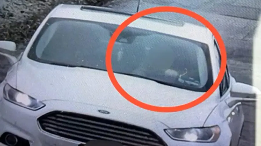 VIDEO Iresponsabilitate în trafic! Peste 460 de șoferi au fost prinși folosind telefonul la volan