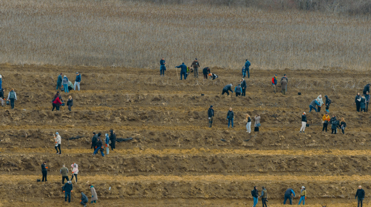 FOTO VIDEO Autoritățile publice și cetățenii s-au alăturat campaniei de plantare de Ziua Internațională a Pădurilor