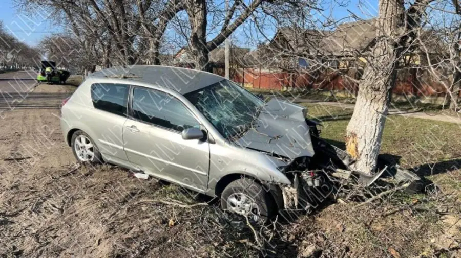 A ajuns cu mașina într-un copac după ce a pierdut controlul volanului: Șoferița și două pasagere, duse la spital