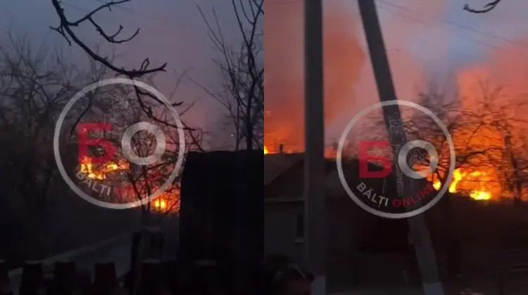VIDEO Panică la Bălți: Incendiu puternic de vegetație; flăcările se apropiau de casele oamenilor
