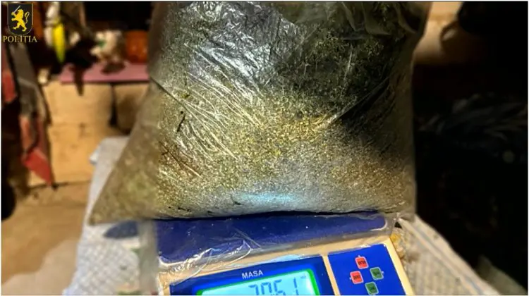 VIDEO Droguri de 5 milioane de lei, descoperite la Orhei. Un bărbat de 63 de ani a fost reținut