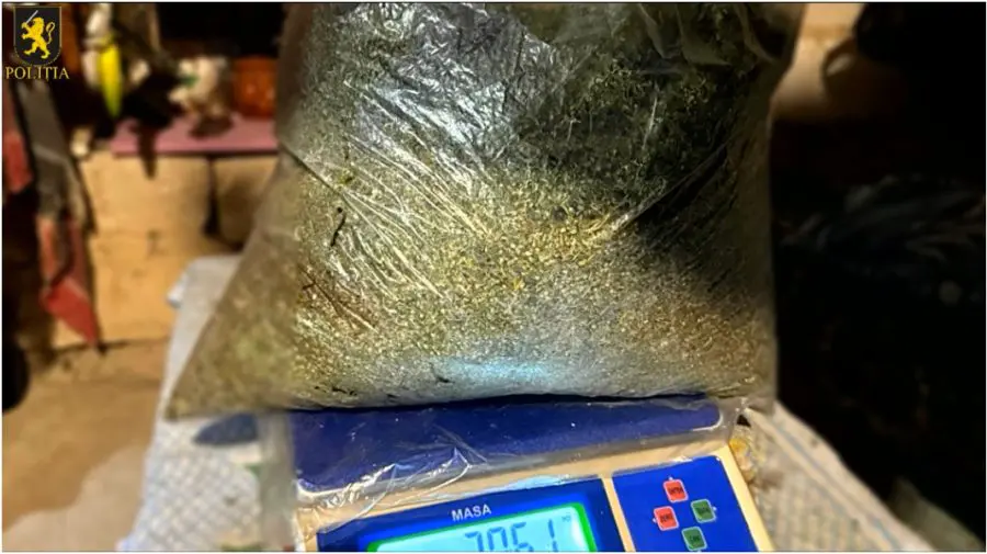 VIDEO Droguri de 5 milioane de lei, descoperite la Orhei. Un bărbat de 63 de ani a fost reținut