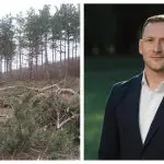 ”Nu vom merge din poartă în poartă”: Cum vrea Ministerul Mediului să-i prindă pe hoții de lemne