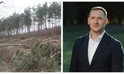 ”Nu vom merge din poartă în poartă”: Cum vrea Ministerul Mediului să-i prindă pe hoții de lemne