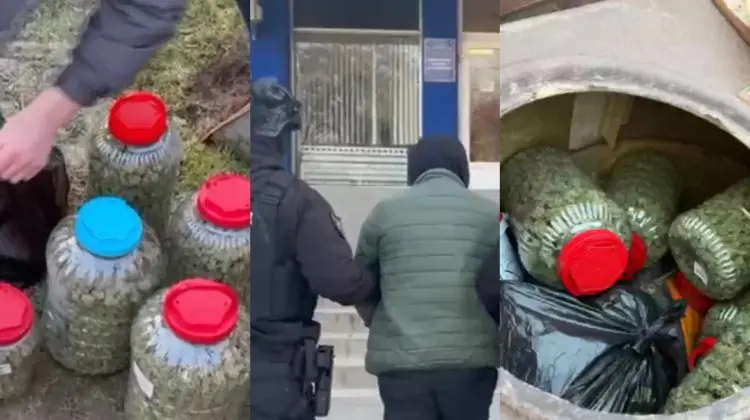 VIDEO Captură uriașă de droguri la Anenii Noi: Peste 40 kg de marijuana, depistate la ferma unui bărbat