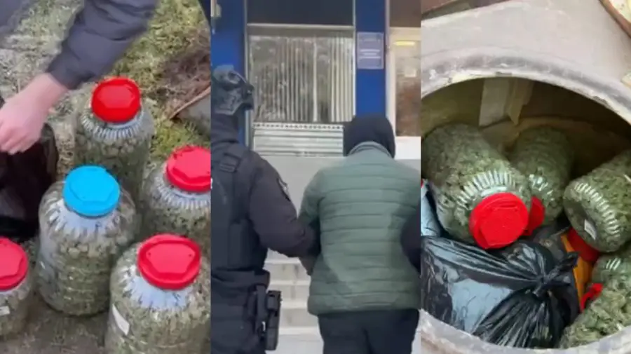 VIDEO Captură uriașă de droguri la Anenii Noi: Peste 40 kg de marijuana, depistate la ferma unui bărbat