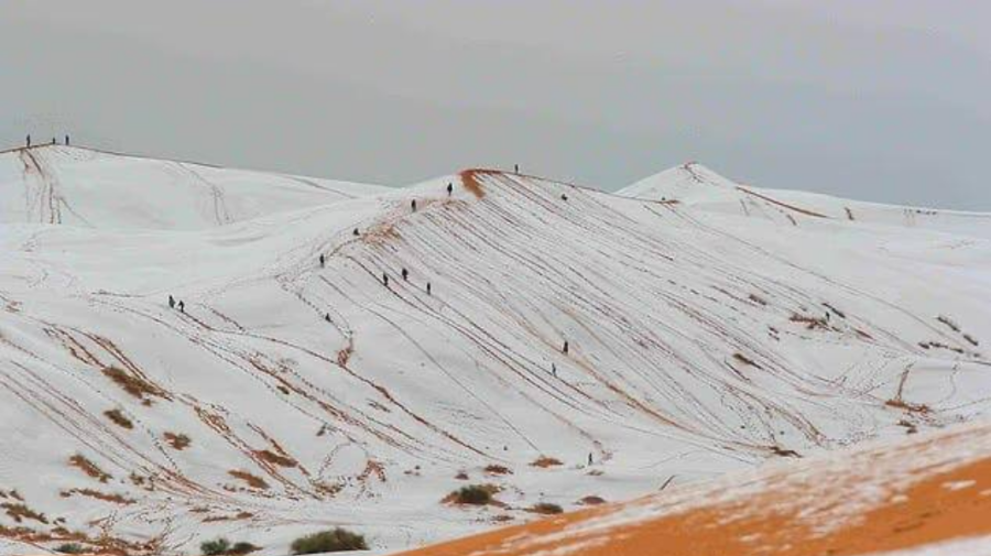 FOTO VIDEO Un fenomen rar în Sahara: zăpadă peste dunele din Ain Sefra