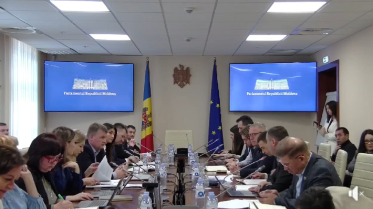Discuții tensionate la Parlament, în timpul consultărilor asupra proiectului Codului privind organizarea Legislativului
