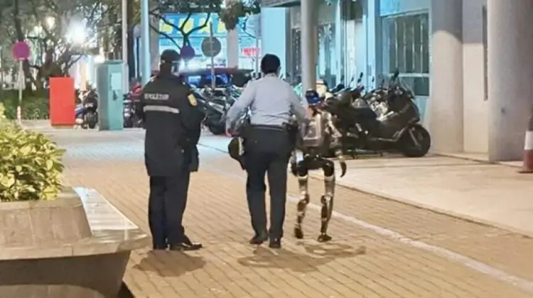 Un robot umanoid a fost escortat de poliţia chineză, după ce a speriat, fără să vrea, o femeie în vârstă de 70 de ani