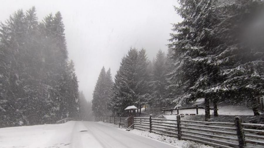 România, lovită de un val de frig în aprilie: ninsori și temperaturi de până la -12 grade