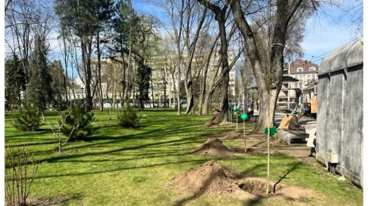 „Aleea prieteniei”, plantată lângă Catedrală de municipalitate și reprezentanții etniilor