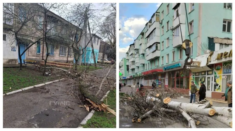 VIDEO Copaci doborâți și gospodării rămase fără curent, la Bender și în raionul Grigoriopol