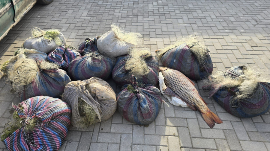 Pescuit ilegal la lacul Beleu: Doi bărbați au fost prinși cu 75 de pești