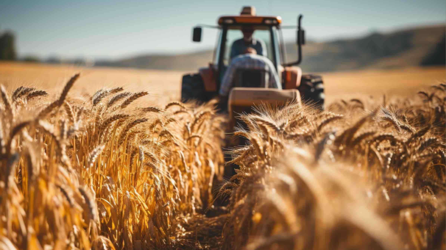 Peste 5% dintre moldoveni muncesc la negru, ponderea maximă se înregistrează în agricultură