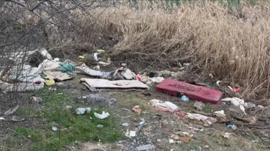 FOTO Încălcări ale normelor de protecție a mediului la Bălți: Amenzi aplicate de peste 29.000 de lei
