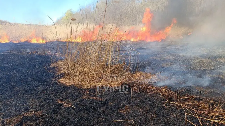 FOTO Incendiu masiv de vegetație la Cobasna. Vântul a extins flăcările