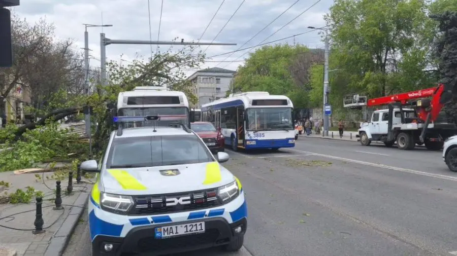 Mai multe rute de troleibuz au fost redirecționate. Traficul, perturbat după prăbușirea unui copac