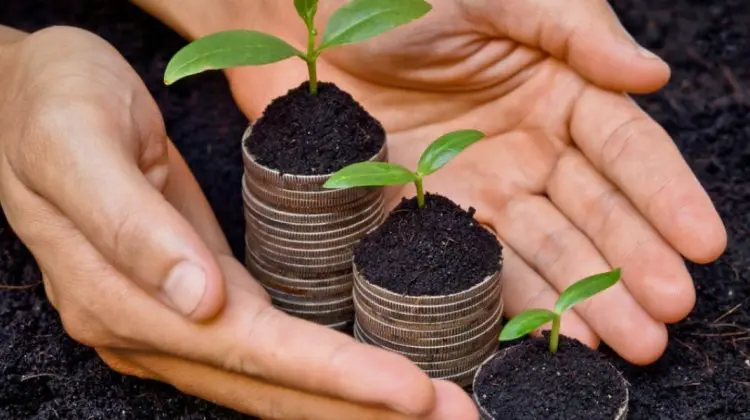 Cererile fermierilor pentru asigurări agricole din 2025 au fost achitate integral