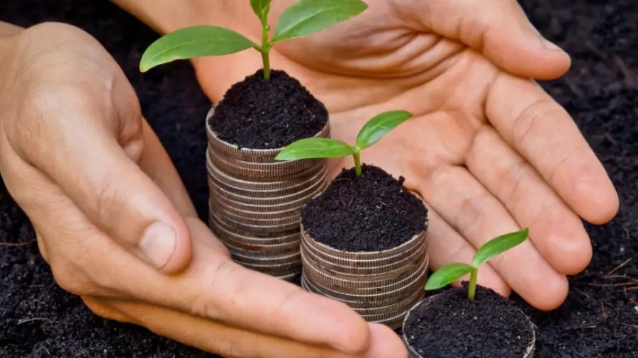 Cererile fermierilor pentru asigurări agricole din 2025 au fost achitate integral