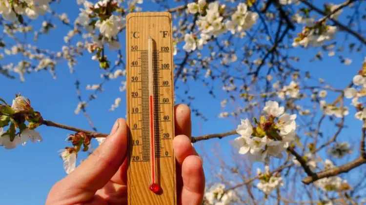 Cer variabil și temperaturi plăcute: Cum va fi vremea sâmbătă în Republica Moldova