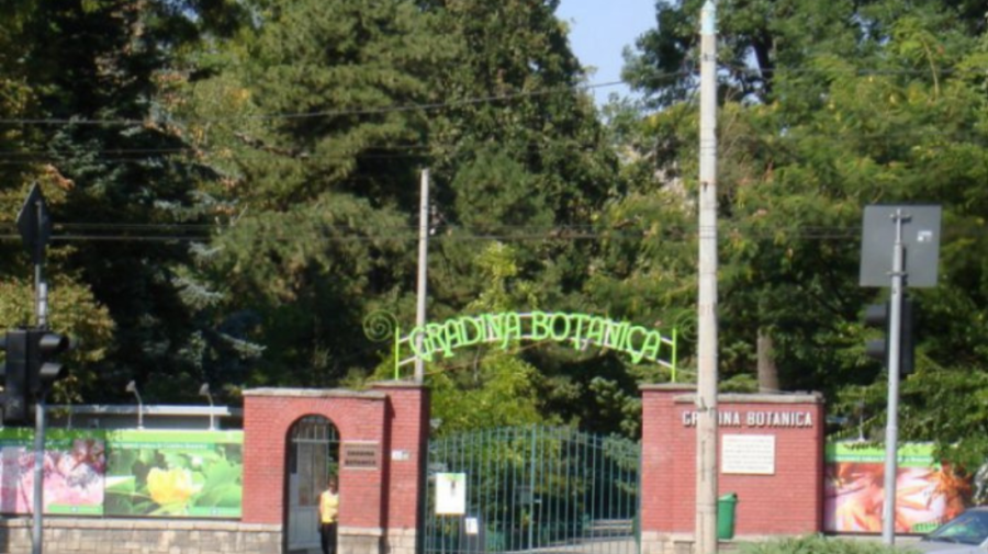 Audit la Grădina Botanică: Lipsa aparatului de casă la veceul cu plată, printre neregulile depistate