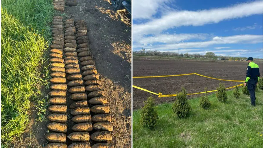 Descoperire periculoasă la Ialoveni: 91 de obuze din al Doilea Război Mondial, găsite pe un teren agricol