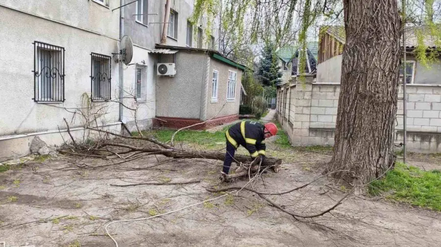 Vântul face pagube! Zeci de copaci prăbușiți, mașini avariate și fire electrice rupte