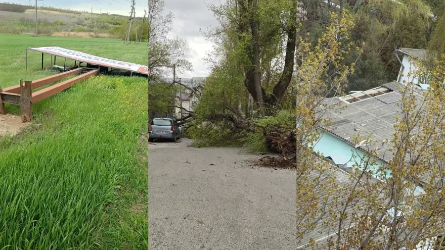Vânt puternic la Bălți: copaci doborâți, trafic blocat și pagube în oraș