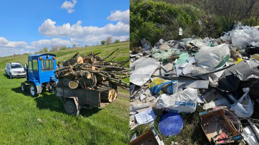 Florești: Tăieri ilegale de arbori și deșeuri aruncate la voia întâmplării
