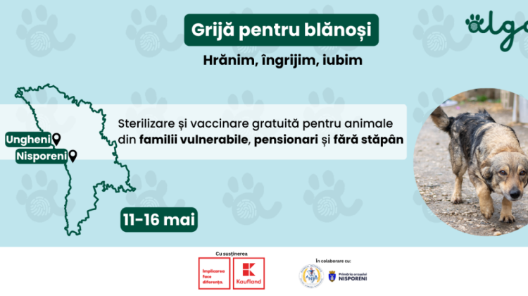 Grijă pentru blănoși: Alga lansează campania de sterilizare și vaccinare gratuită pentru animale din Nisporeni și Ungheni între 11-16 mai