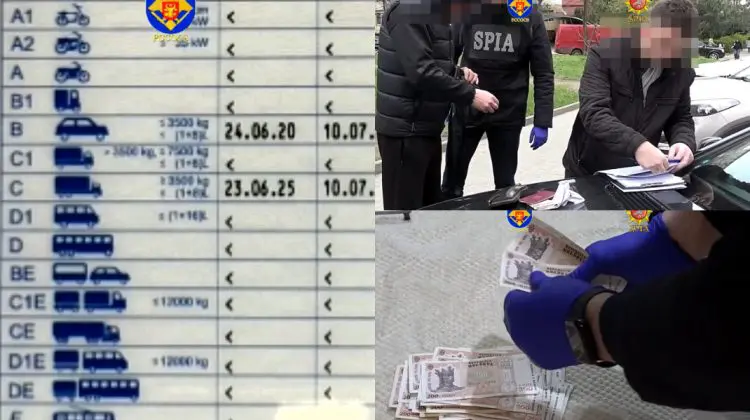 Cărți de identitate și permise de conducere false, emise ilegal în Moldova și România: Rețea infracțională anihilată