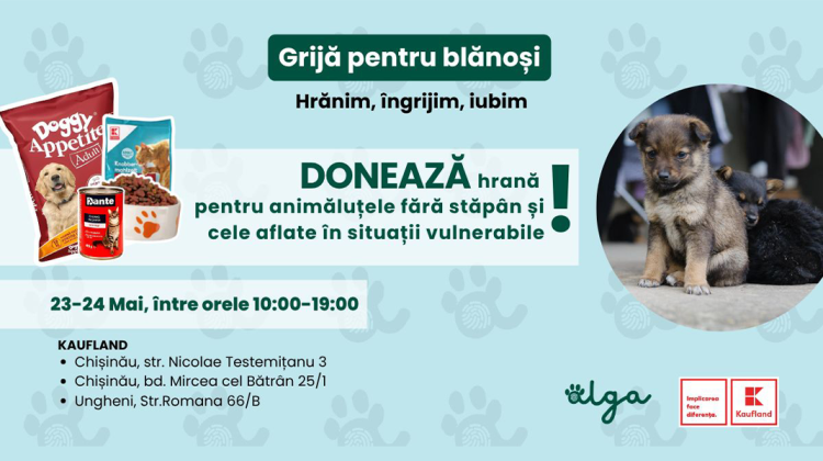 Grijă pentru blănoși: donează hrană pentru animalele fără adăpost pe 23 și 24 mai, în magazinele Kaufland