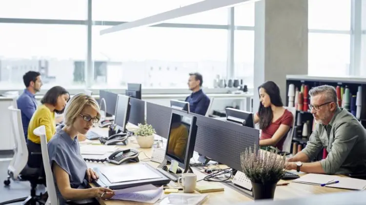 Sfat de sănătate: Salariul te face fericit la job? Un psihoterapeut explică
