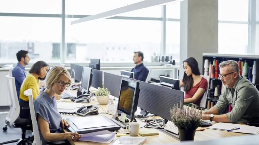 Sfat de sănătate: Salariul te face fericit la job? Un psihoterapeut explică