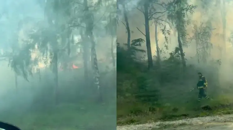 VIDEO Flăcări lângă aeroportul din Chișinău. Pompierii luptă cu un incendiu de vegetație