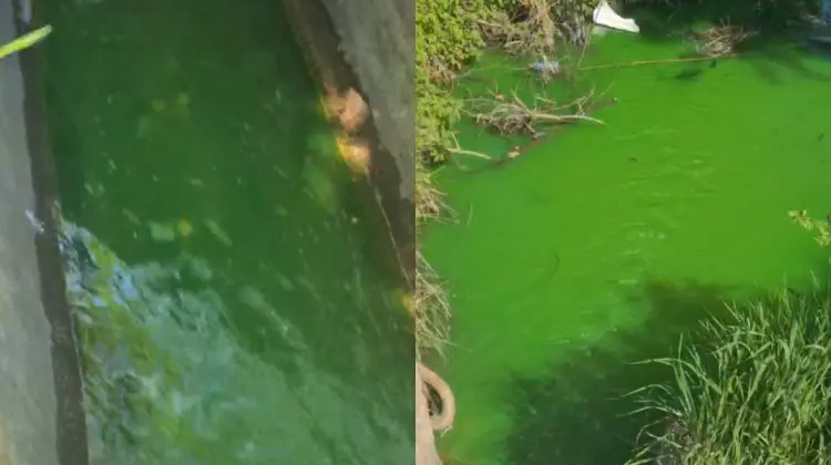 Incident în Chișinău: Circa 25 m3 de agent termic s-au scurs în canalizare, iar apa a devenit verde